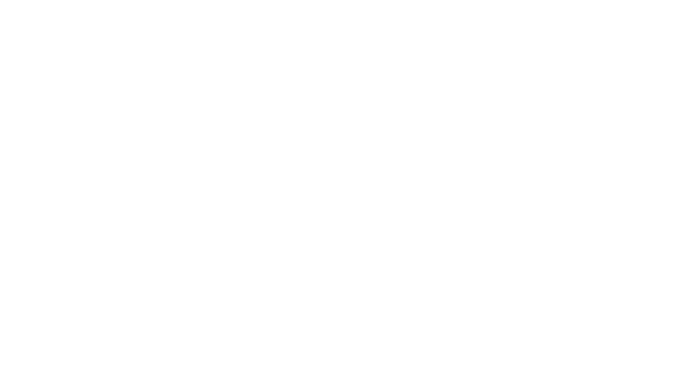 Hawk Plastering